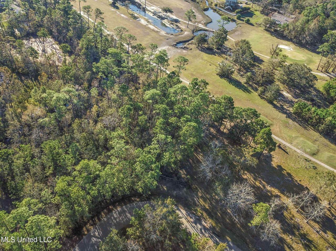 Poinsetta Loop - Photo 1