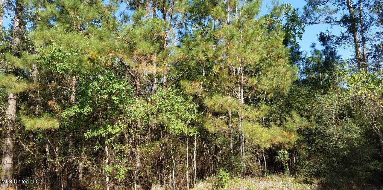 0 Bayou Drive - Photo 1