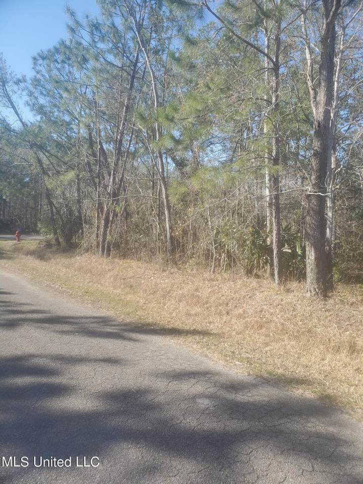 Lots 12-14 River Drive - Photo 1