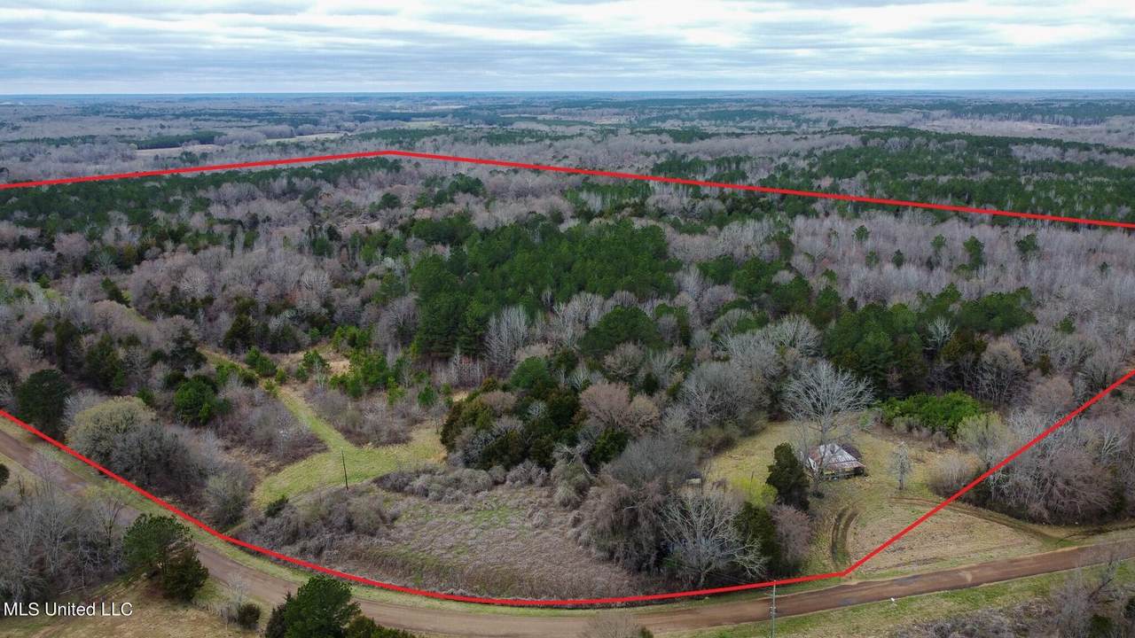 3736 Wyatte Tyro Road - Photo 1