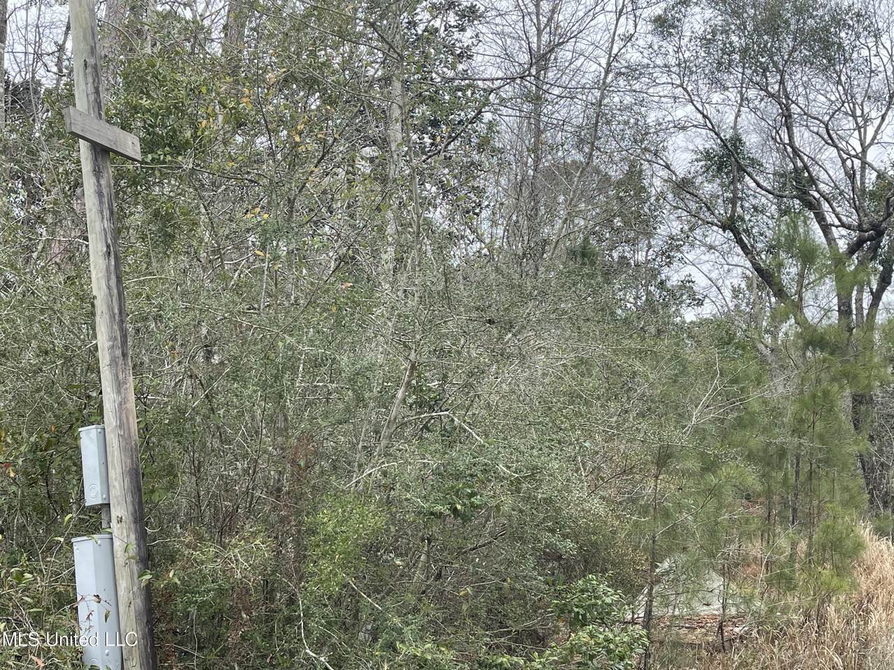 19055 Clearwater Drive - Photo 1