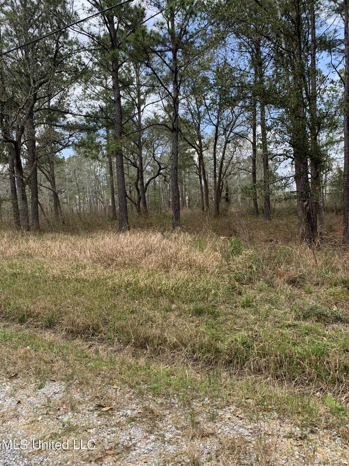 Lot 20 17th Street - Photo 1