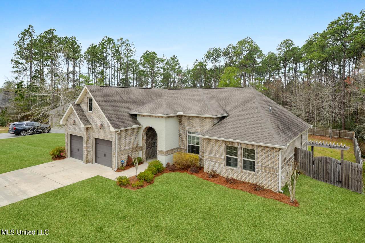 14923 Audubon Lake Boulevard - Photo 1