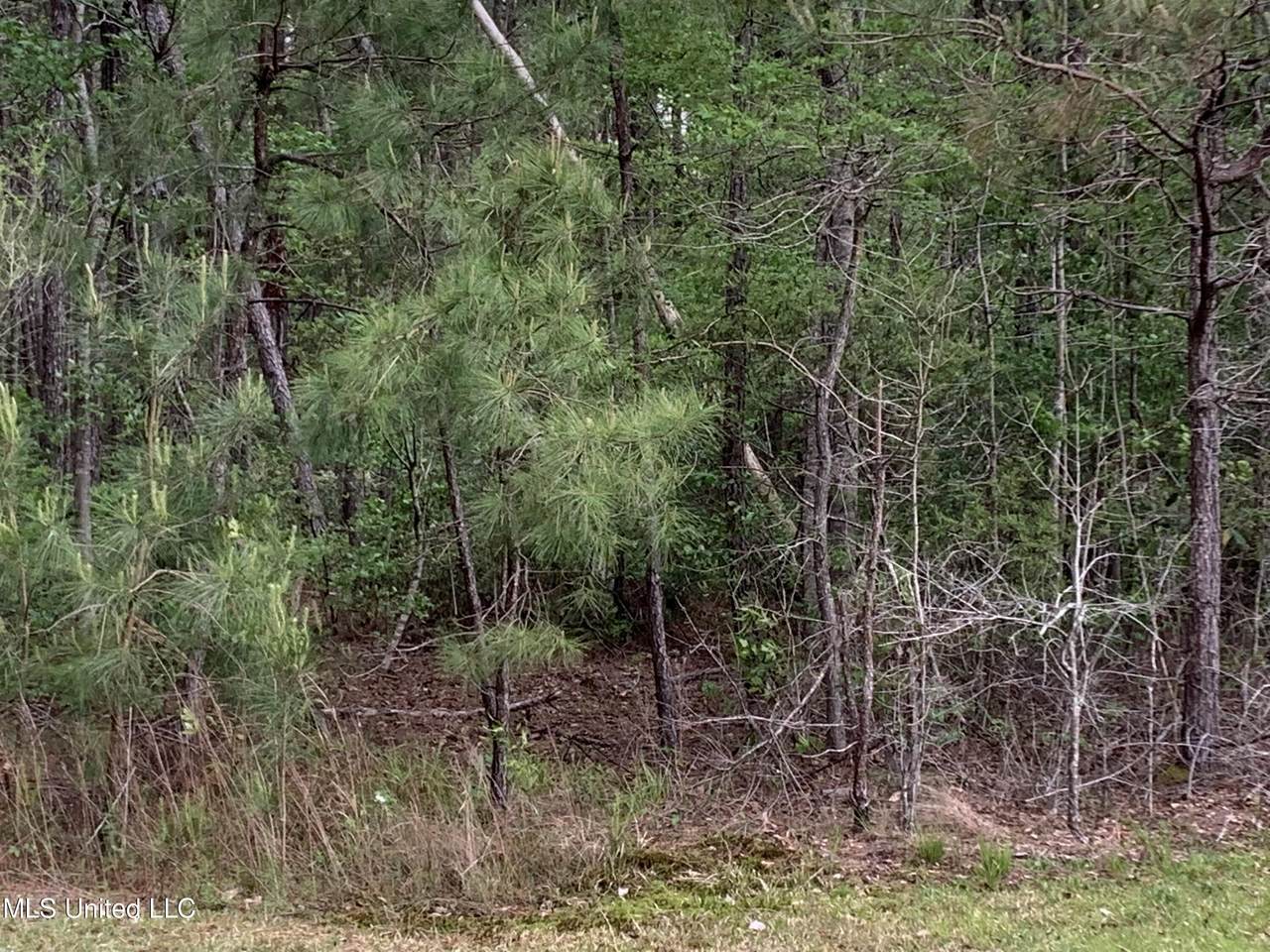 Highway 35 - Photo 1