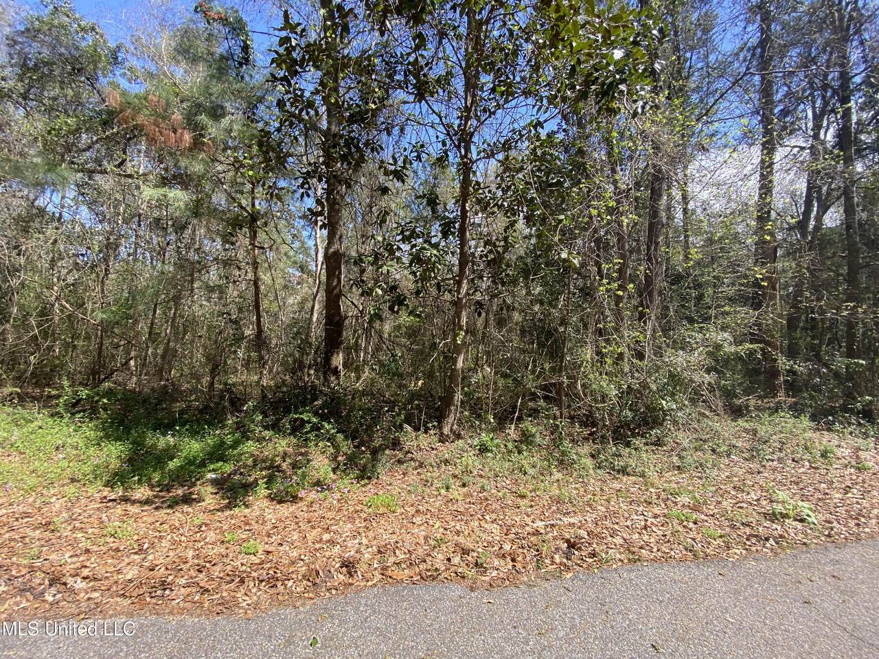 Pine Cone Drive - Photo 1