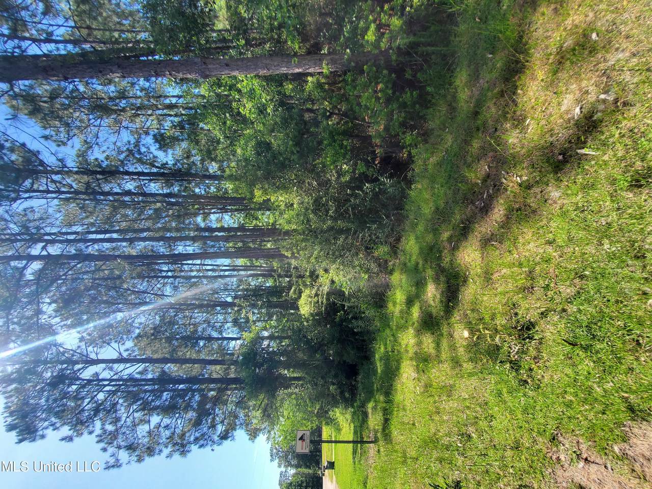 Creek Cove - Photo 1