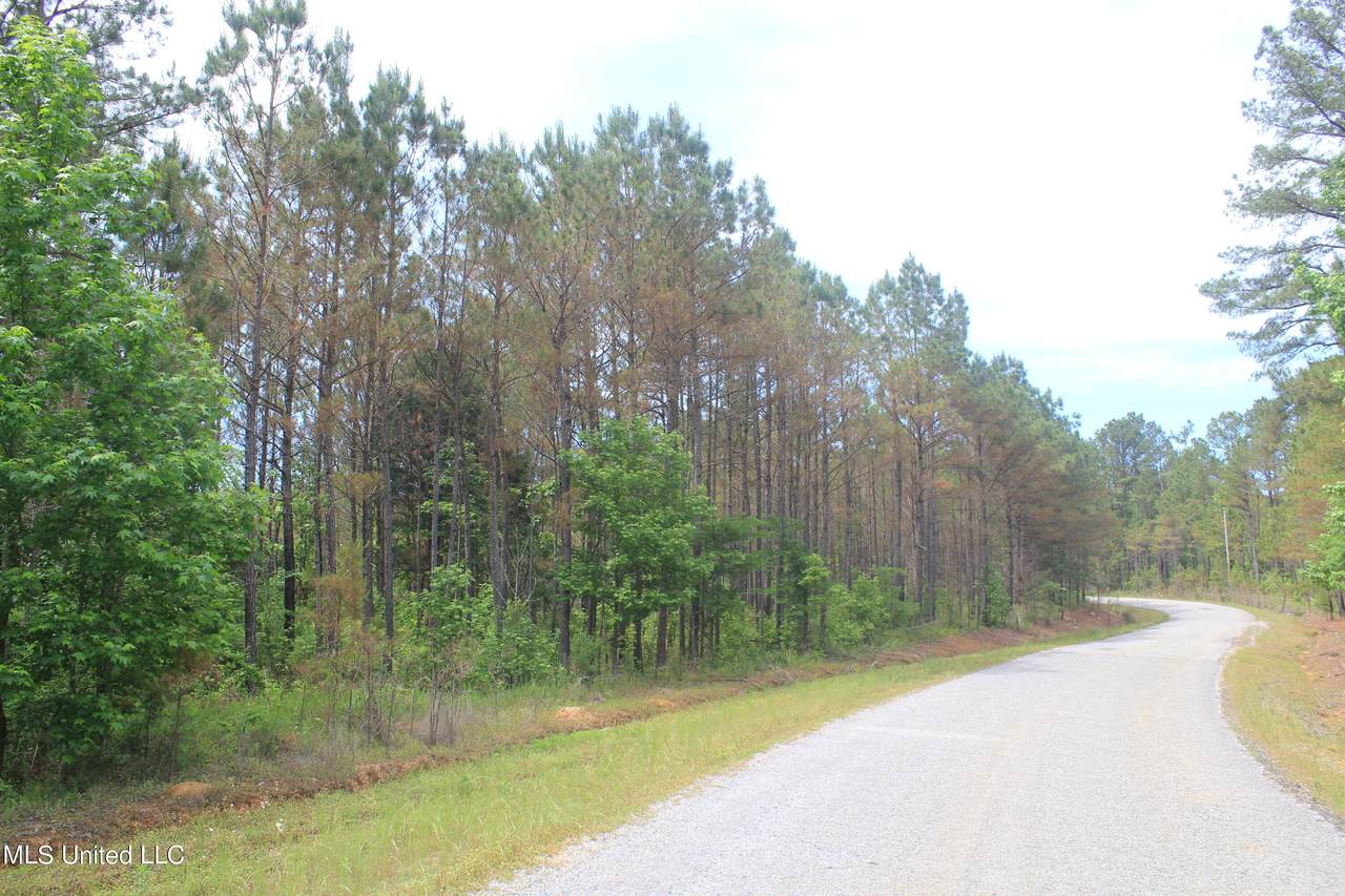 2409 Musgray Road - Photo 1