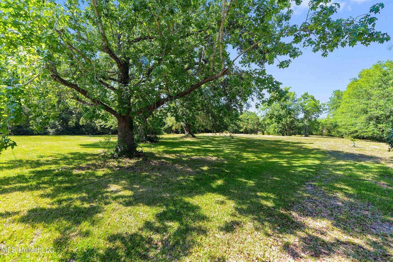 117 Leopold Street - Photo 1