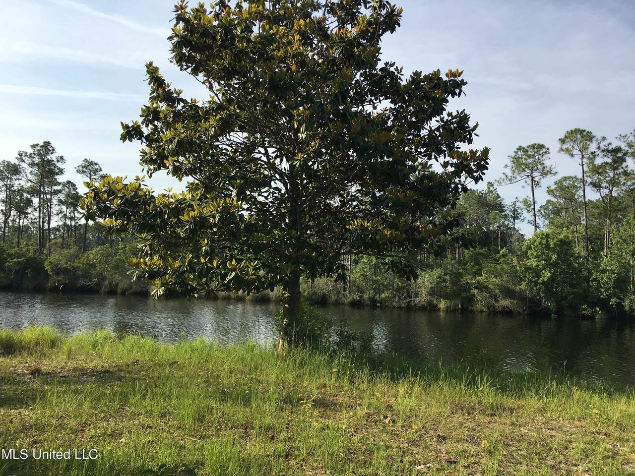 6900 Ocean Springs Road - Photo 1