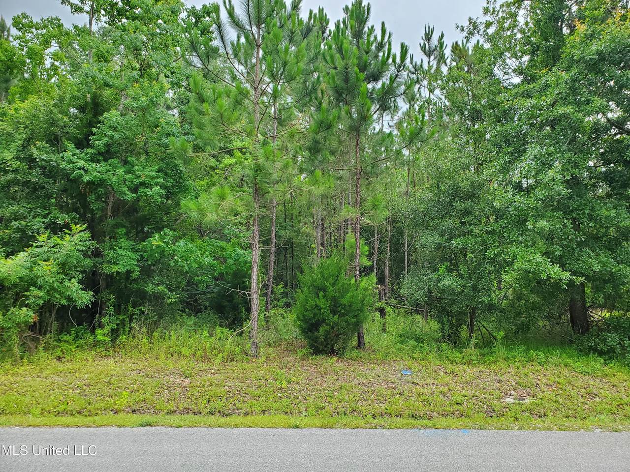 430 Thomas Street - Photo 1