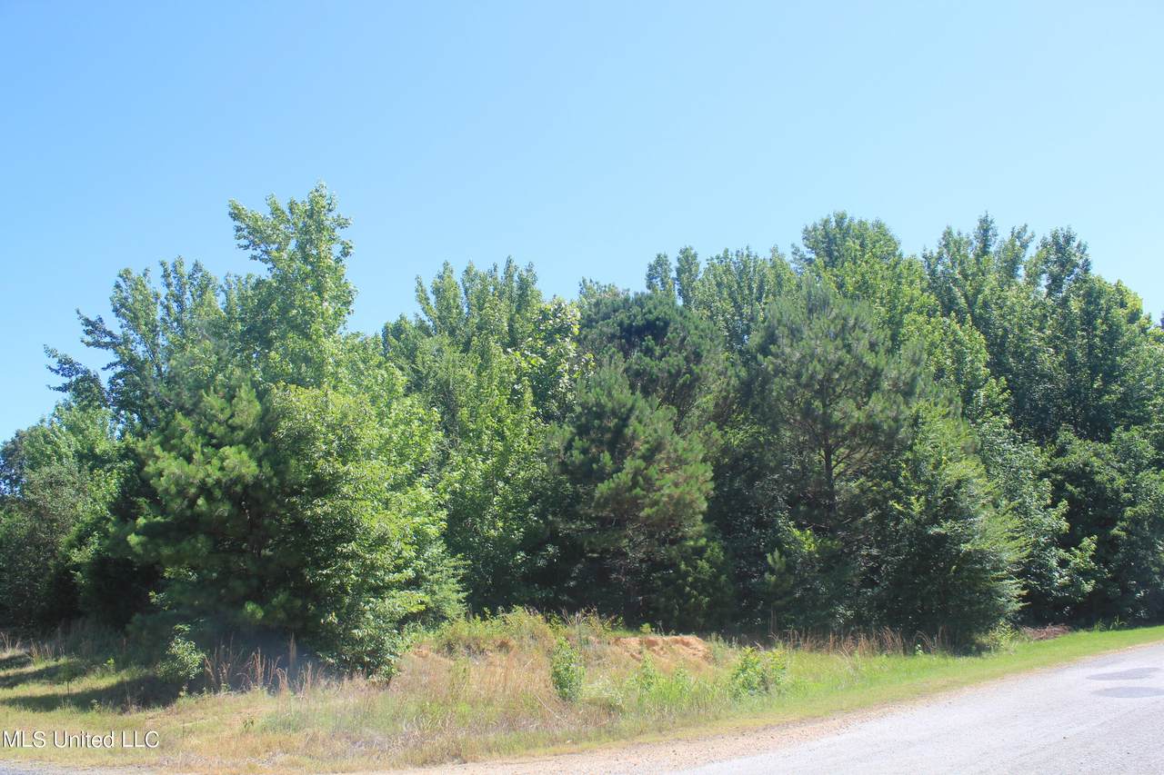 100 Cedar Crest Drive - Photo 1