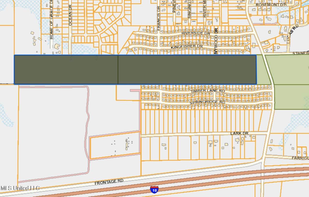 78 Acres Martin Bluff Road - Photo 1