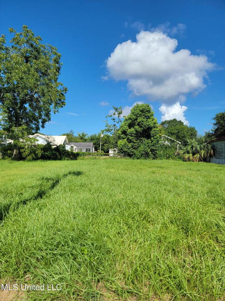315 Lameuse Street - Photo 1