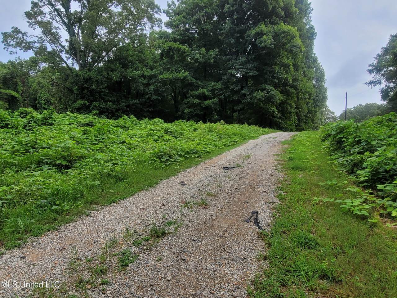 7820 Oak Grove Road - Photo 1