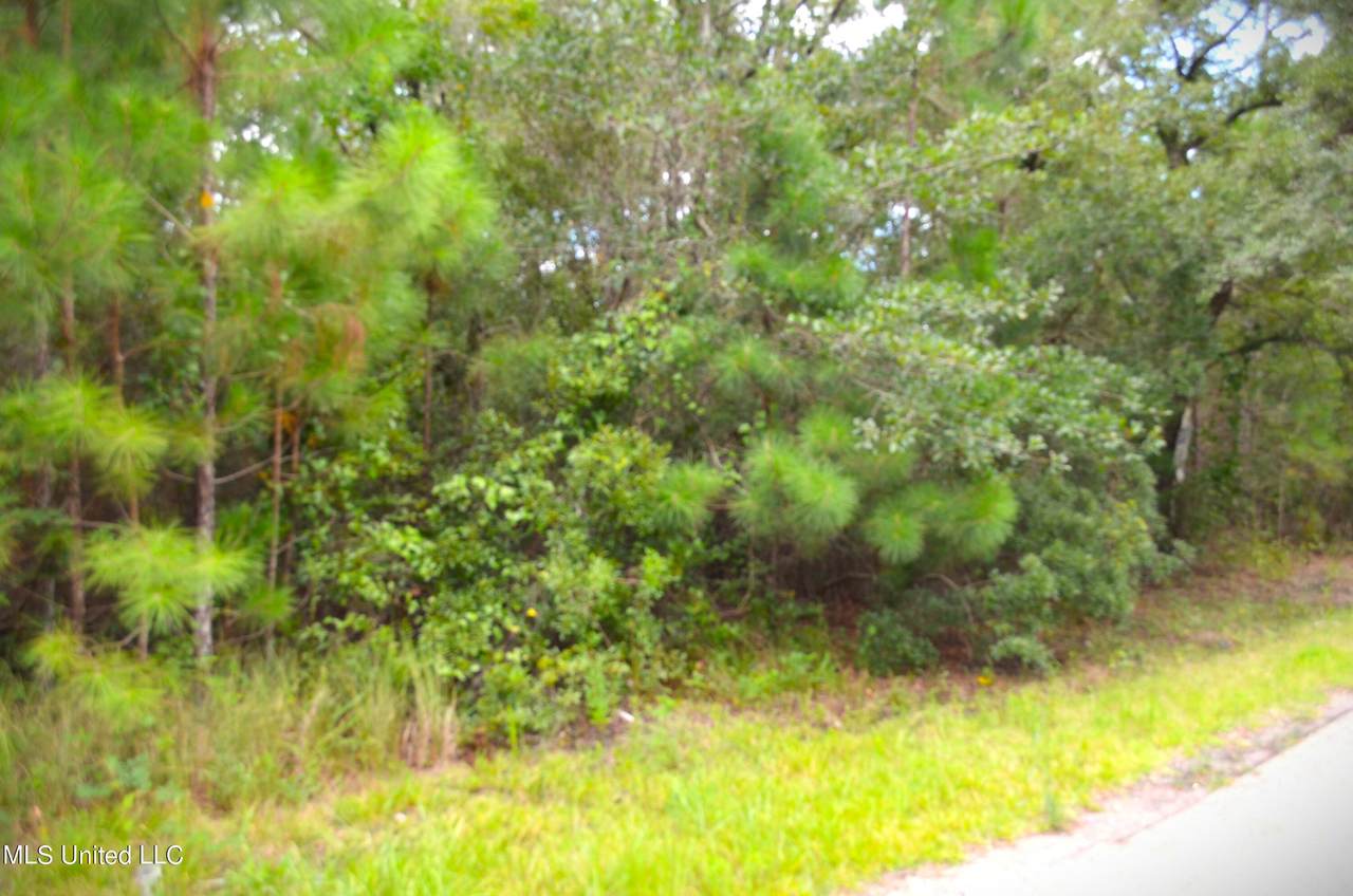 10018 Peachtree Drive - Photo 1