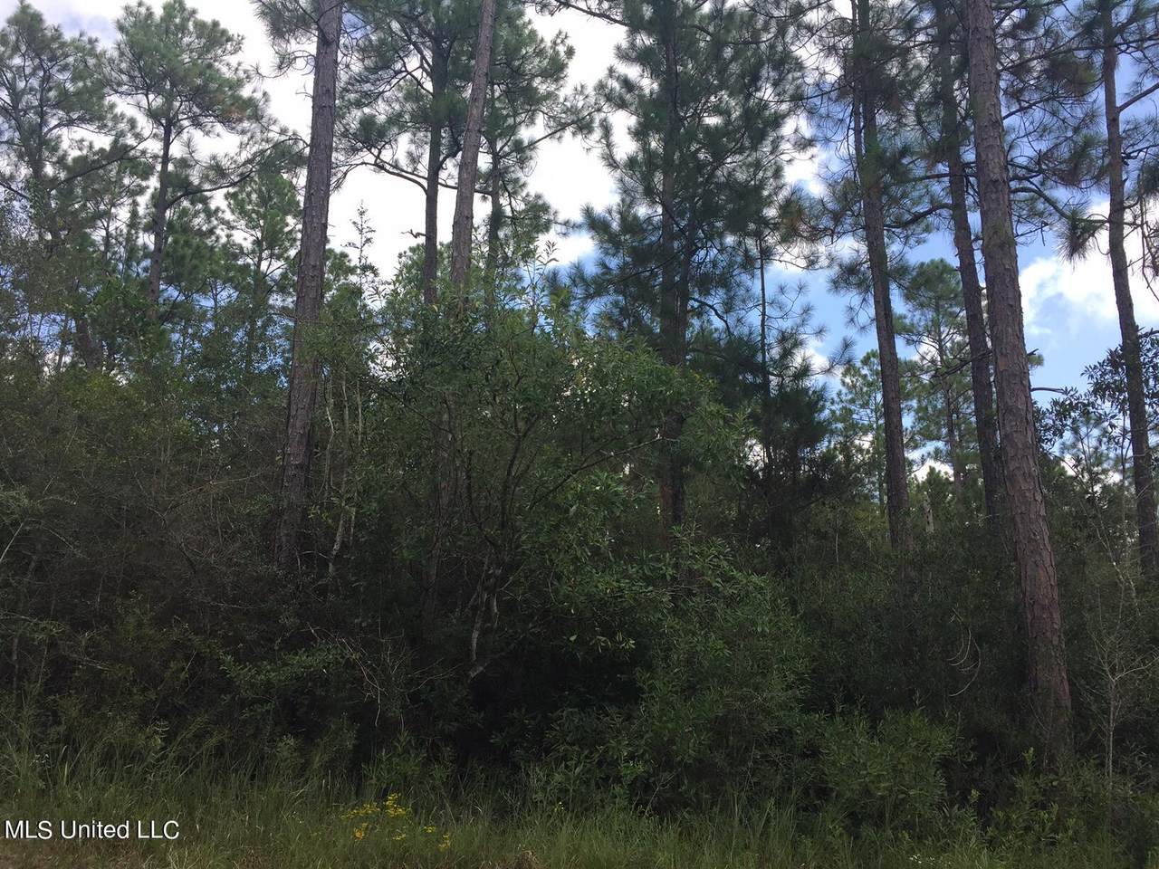 52 Quail Ridge Circle - Photo 1