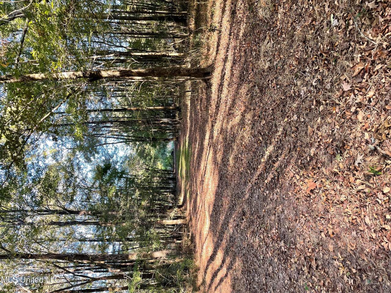 No Lake Drive - Photo 1