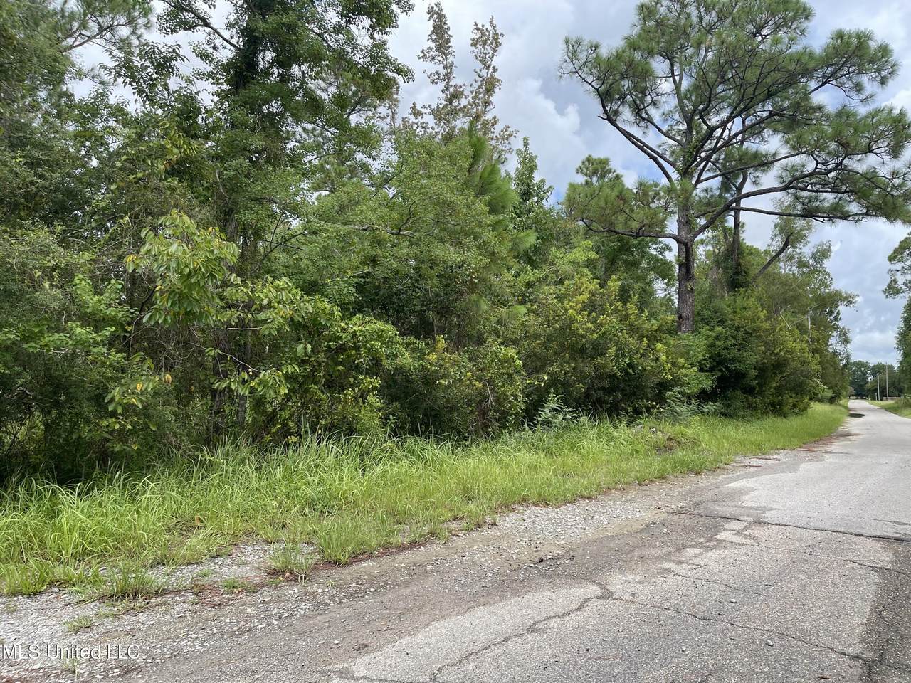 0 Campbell Road Drive - Photo 1