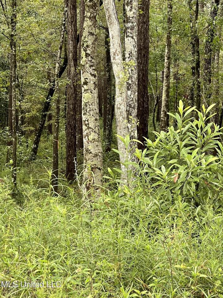 00 Lot 9 Lakeside Dr Road - Photo 1