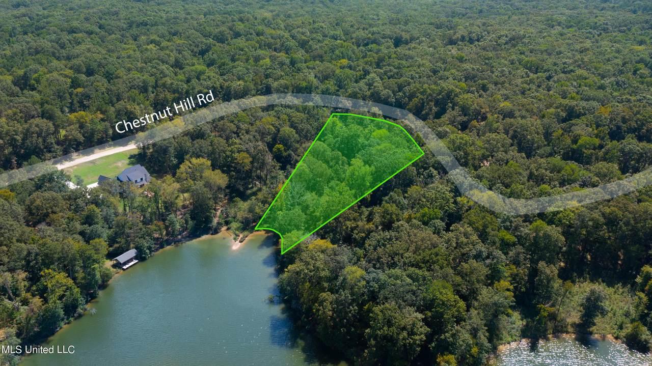 138 Chestnut Hill Rd - Photo 1