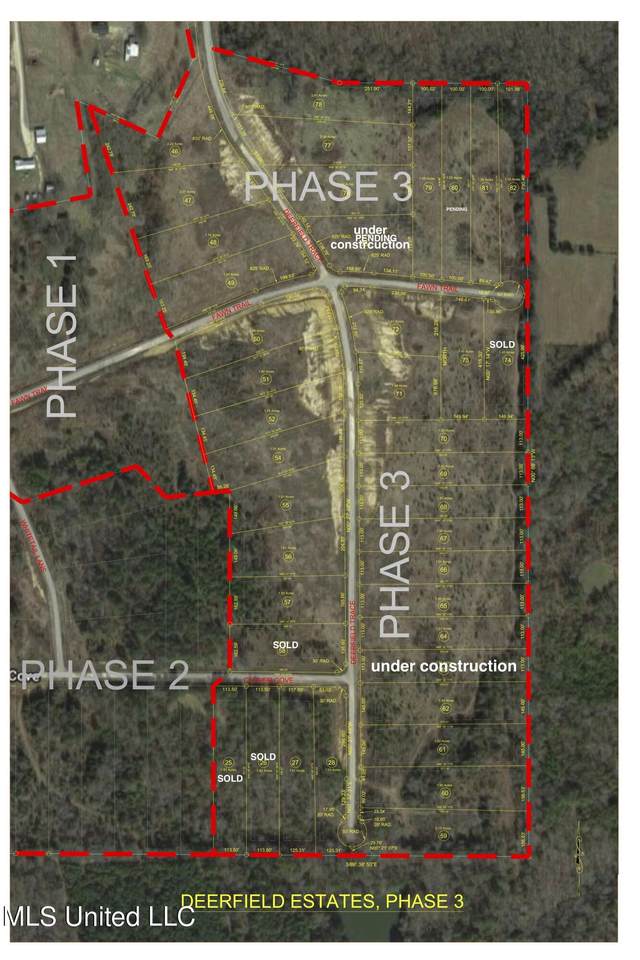 Deerfield Trace - Photo 1