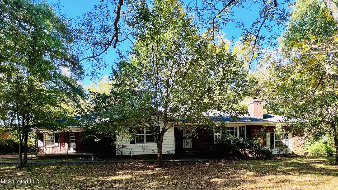 4635 Highway 51 - Photo 1