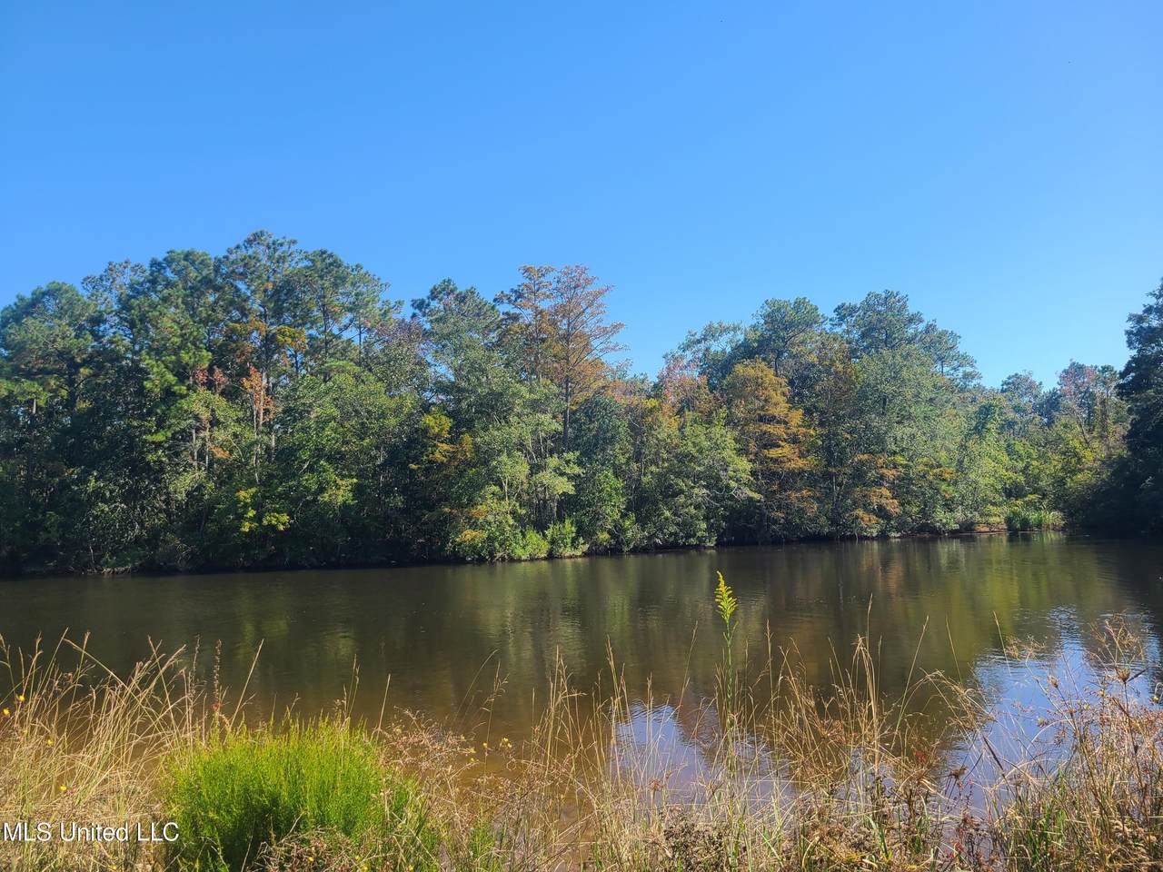 0 Sandbar Lane - Photo 1