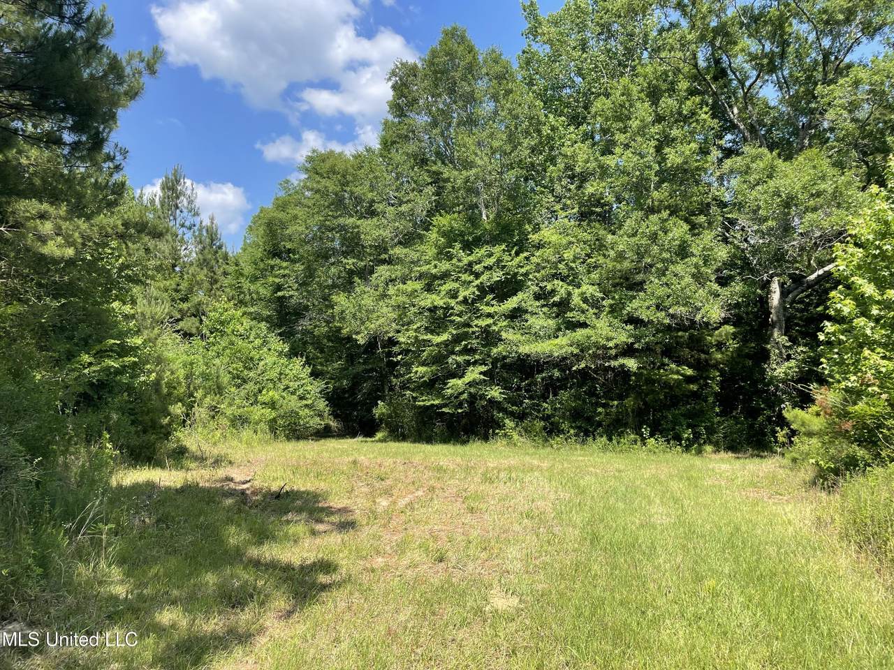 0002 Cole Drive Se - Photo 1