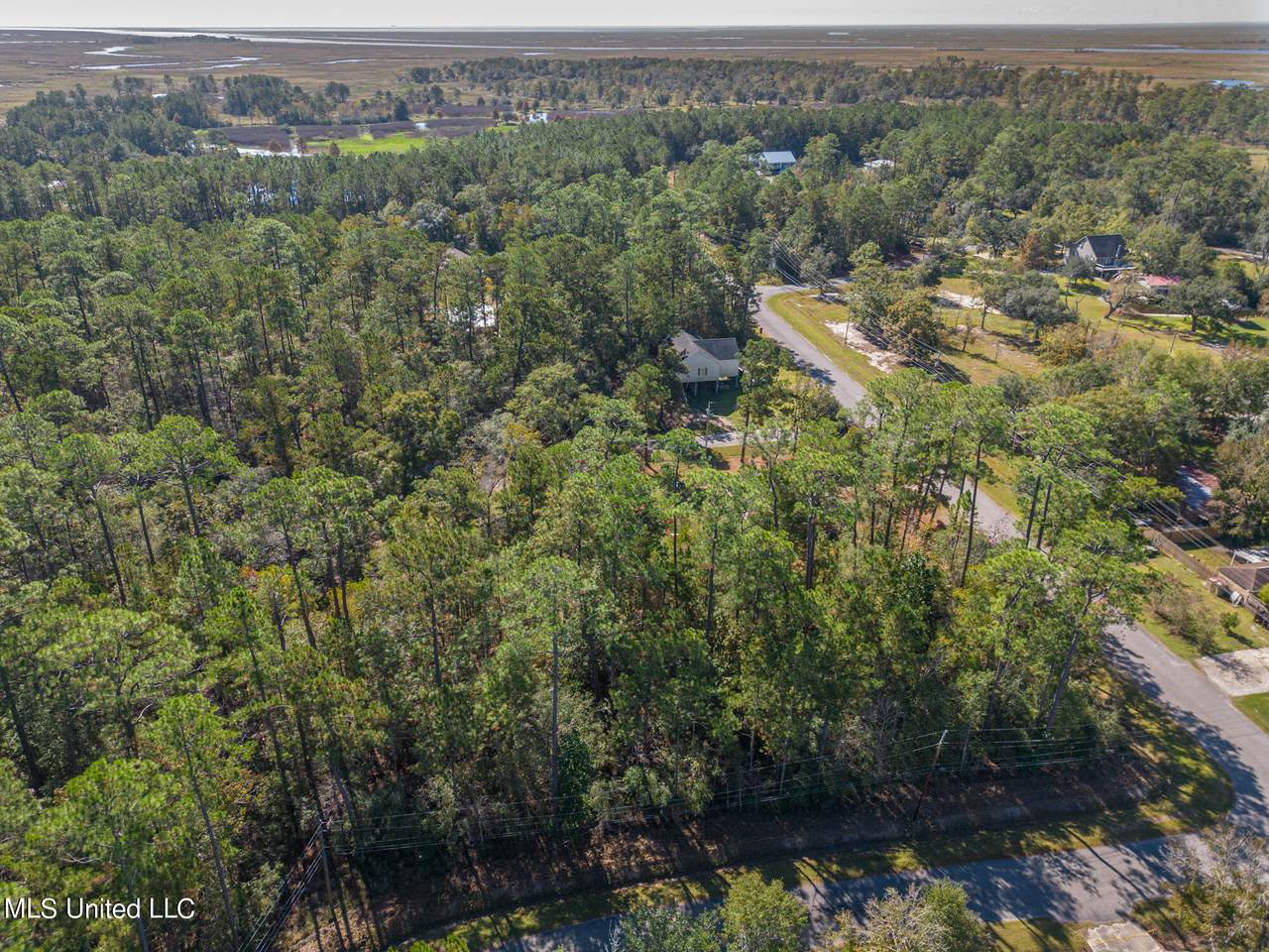 Jacksonville Dr. Drive - Photo 1