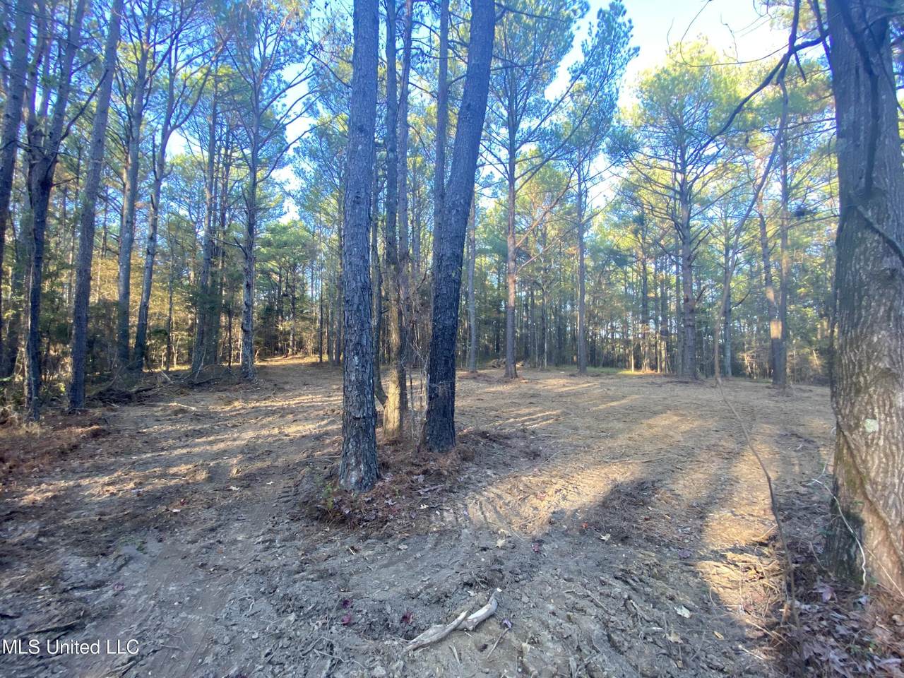 50 Millwright Rd - Photo 1