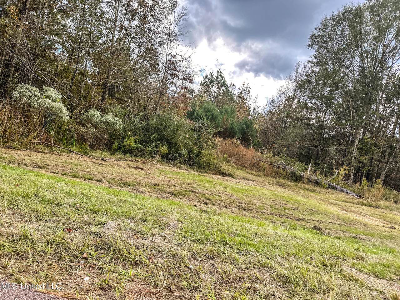 8029 Chapel Hill Road - Photo 1