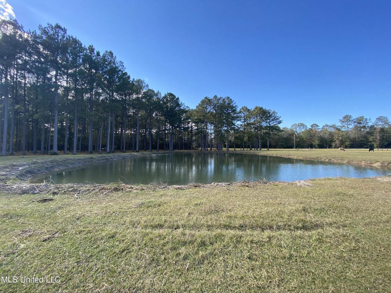 2510 Old Hwy 26 - Photo 1