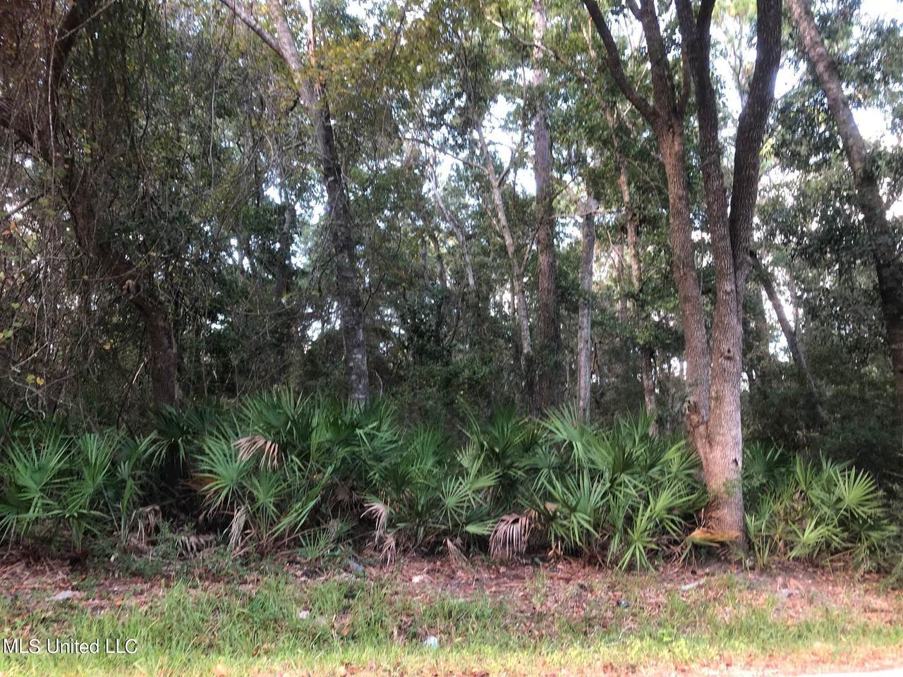 8904 Pointe Aux Chenes Road - Photo 1