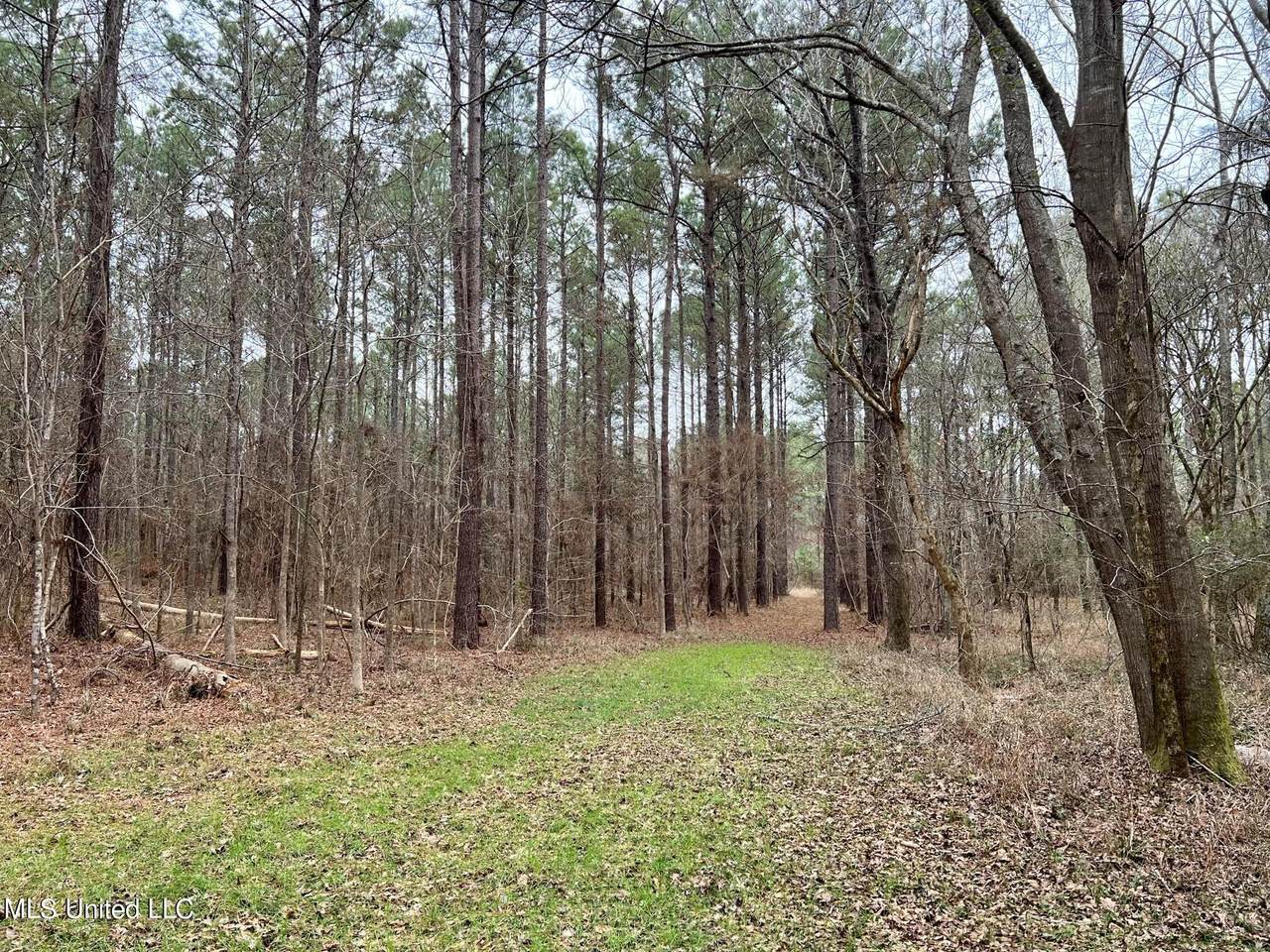 Spring Creek Rd - Photo 1