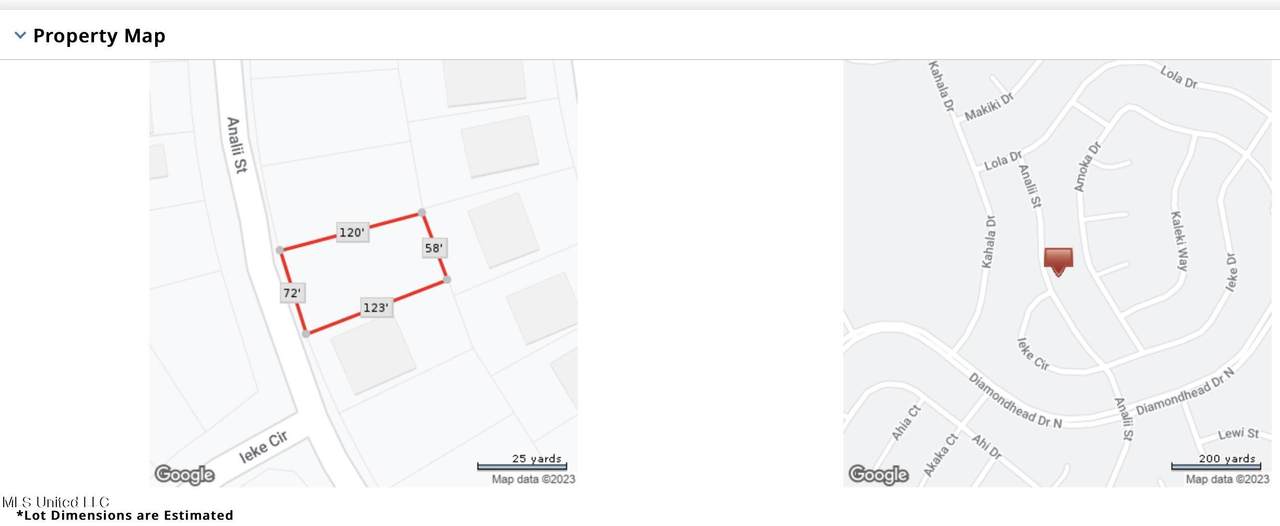 Lot 37 Analii Street - Photo 1