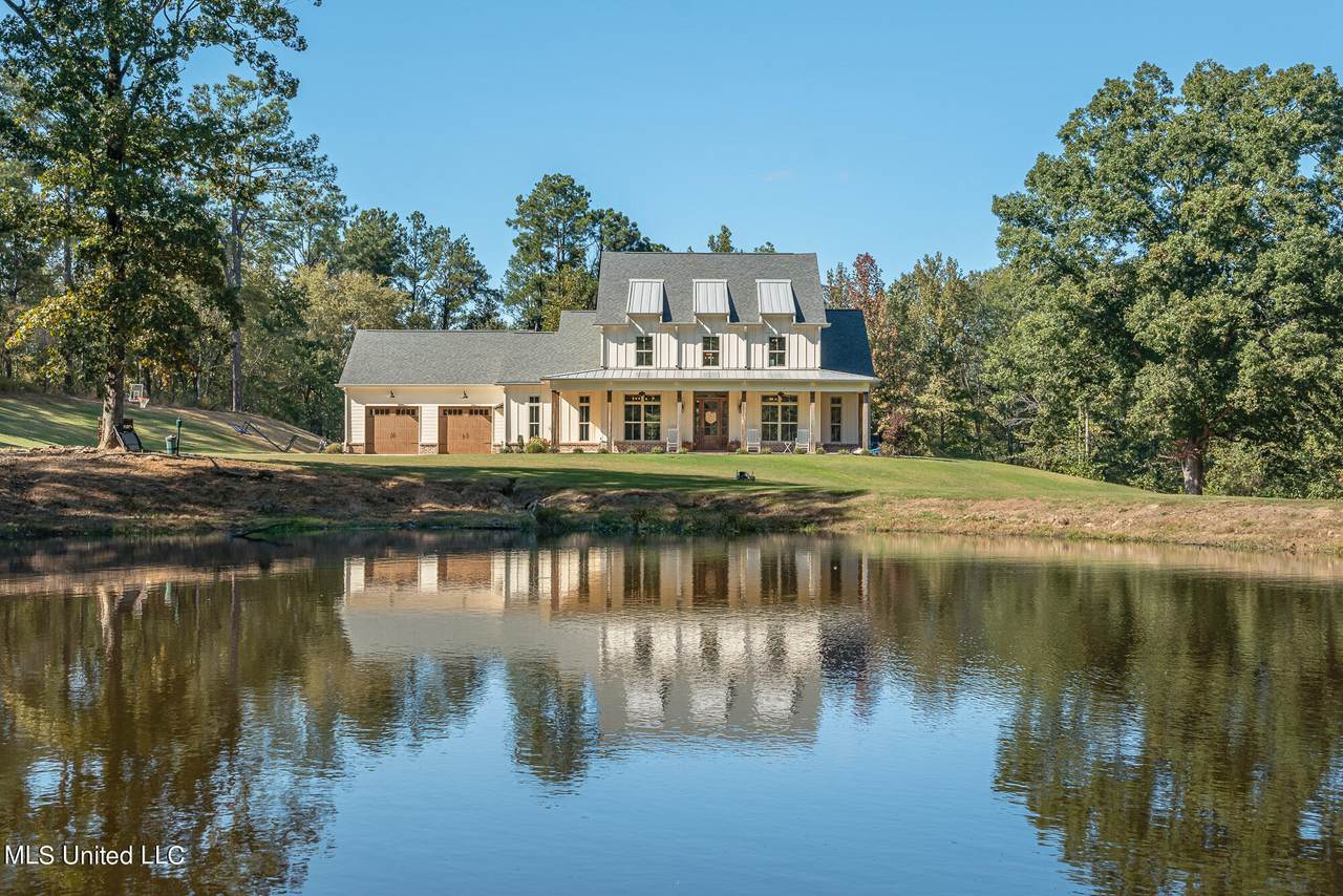 8380 Bethel Road, Olive Branch, MS 38654 (MLS 4061679) The Home