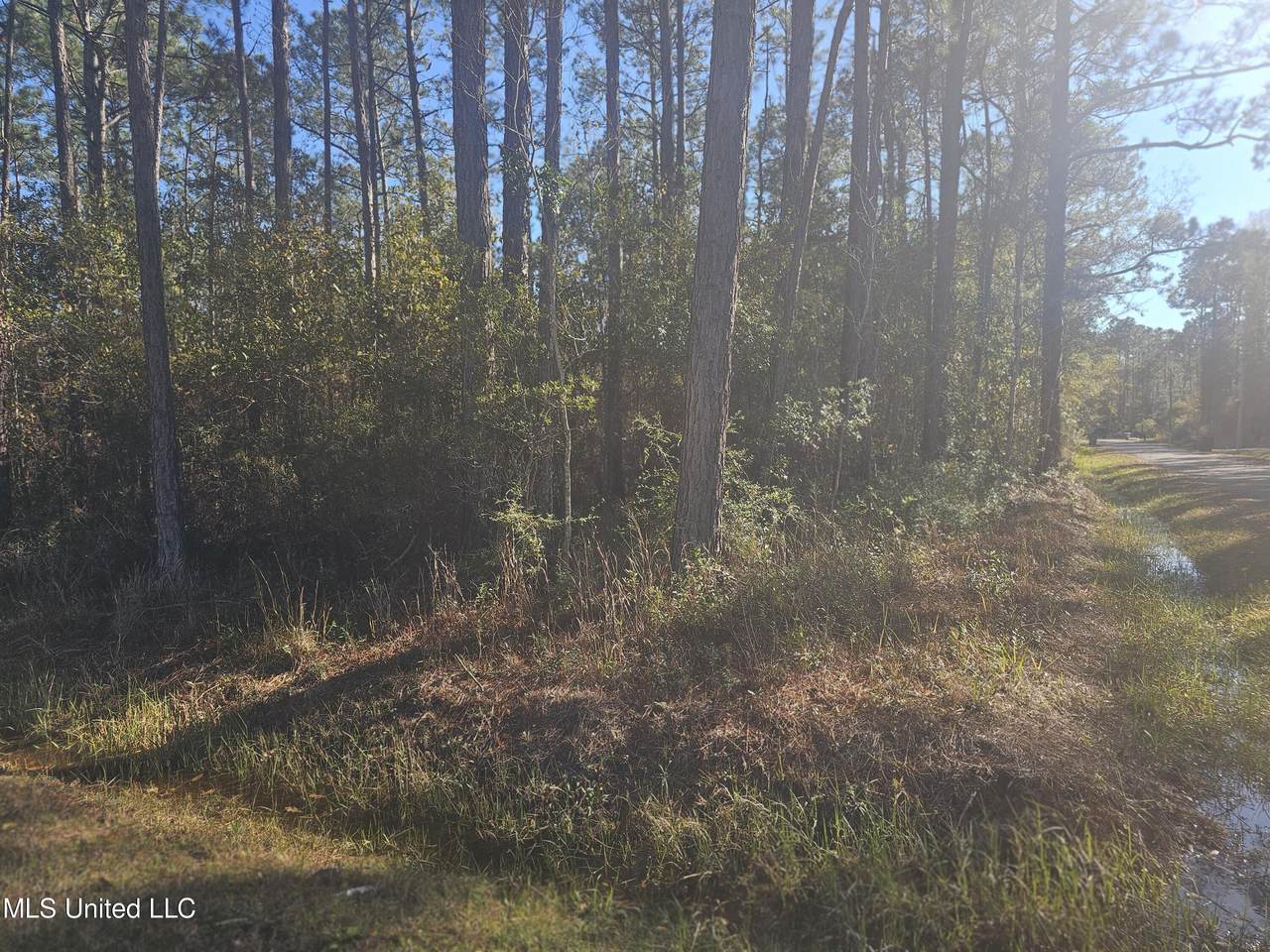  Bayside Drive - Photo 1