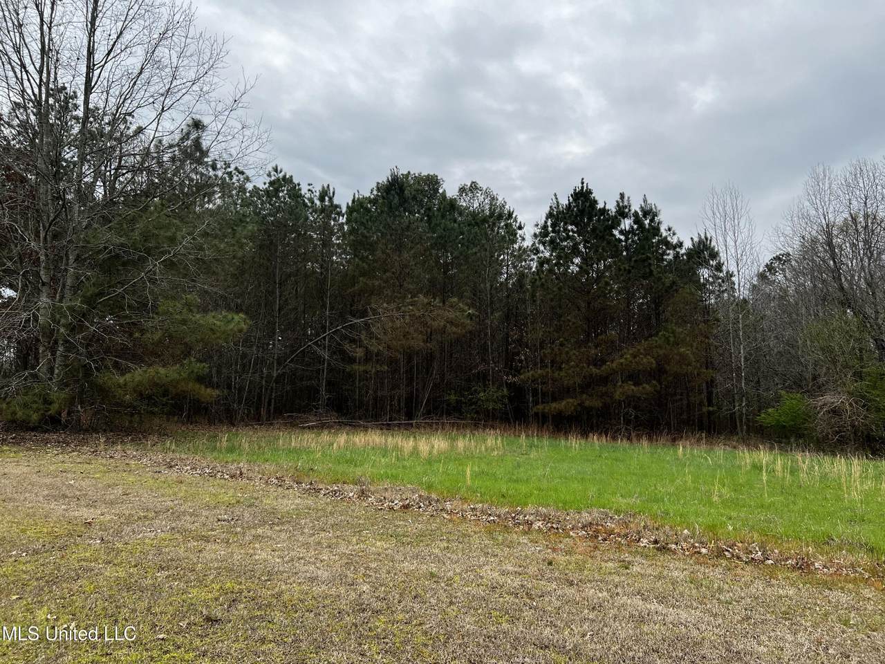 12.79 Ac Country Club Road, Senatobia, MS 38668 (MLS 4068063) The