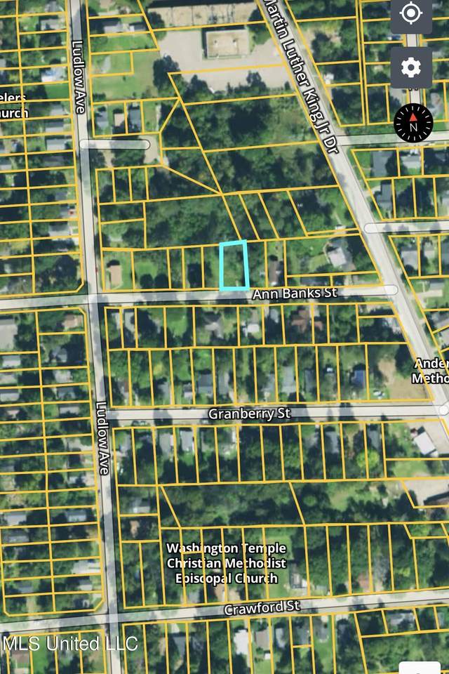 0 Ann Banks Street - Photo 1