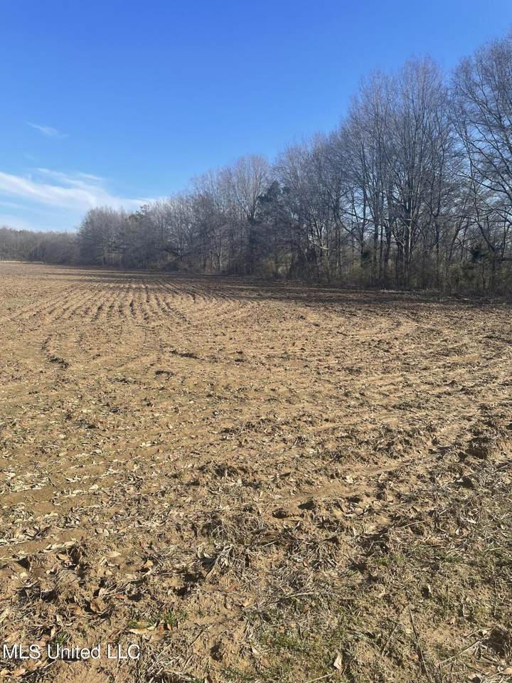 5177 B Nash Road - Photo 1