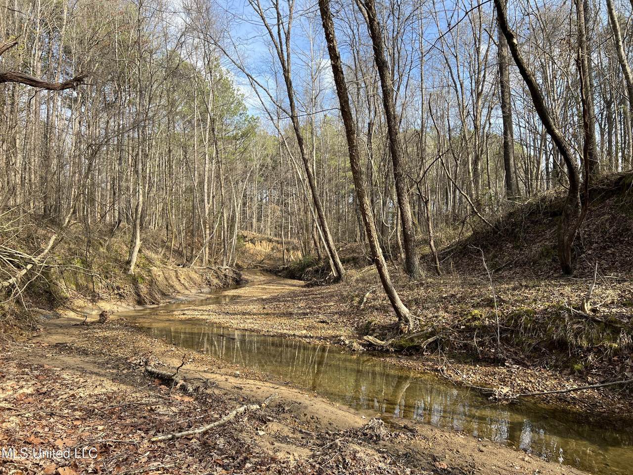  Ruffin Road - Photo 1