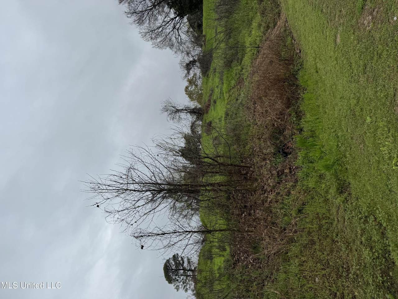  Pierce Street - Photo 1