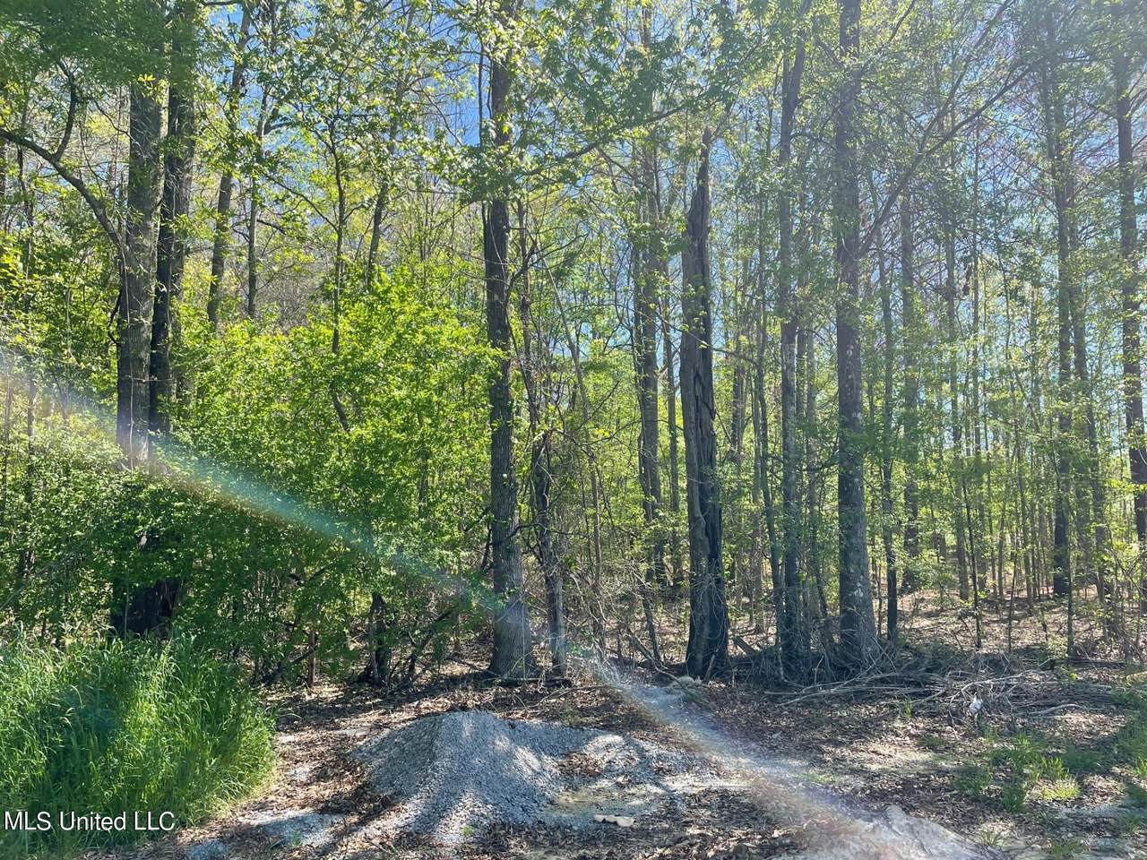 108 Holly Bush Road - Photo 1