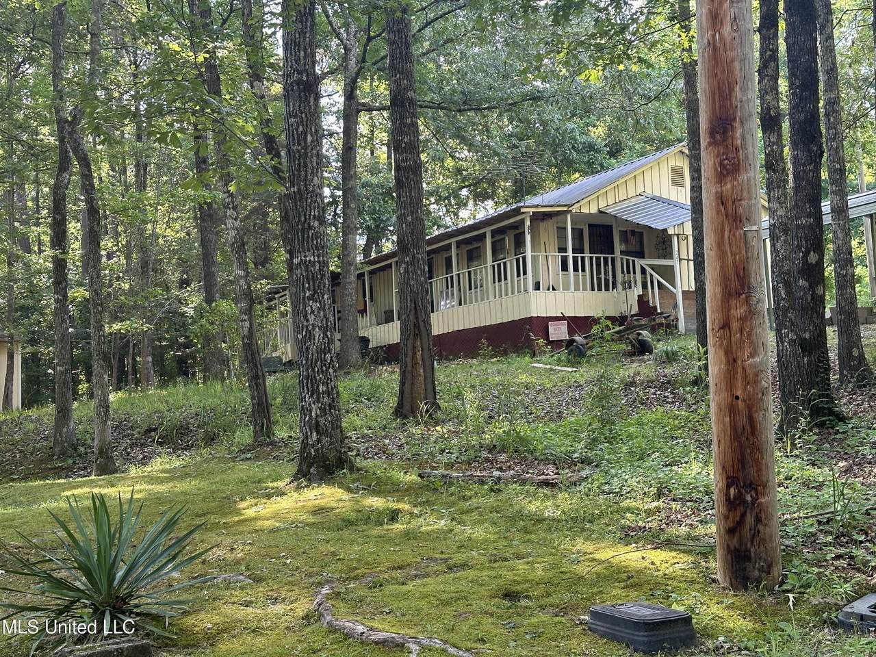 247 Grace Road - Photo 1