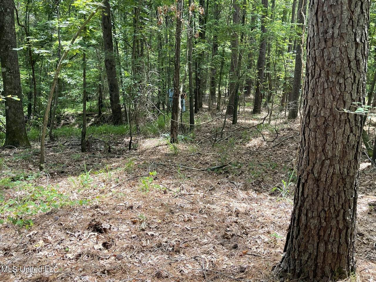 00 Pope Crowder Road - Photo 1