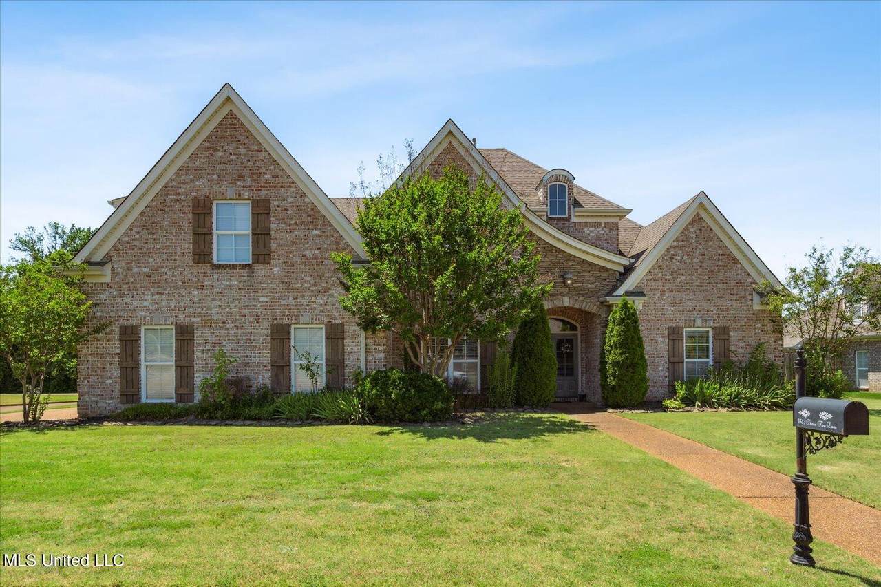 3583 Thorn Tree Lane, Southaven, MS 38672 (MLS 4084018) The Home