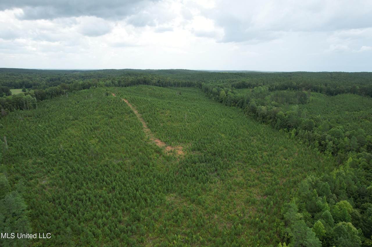  County Road 481 - Photo 1