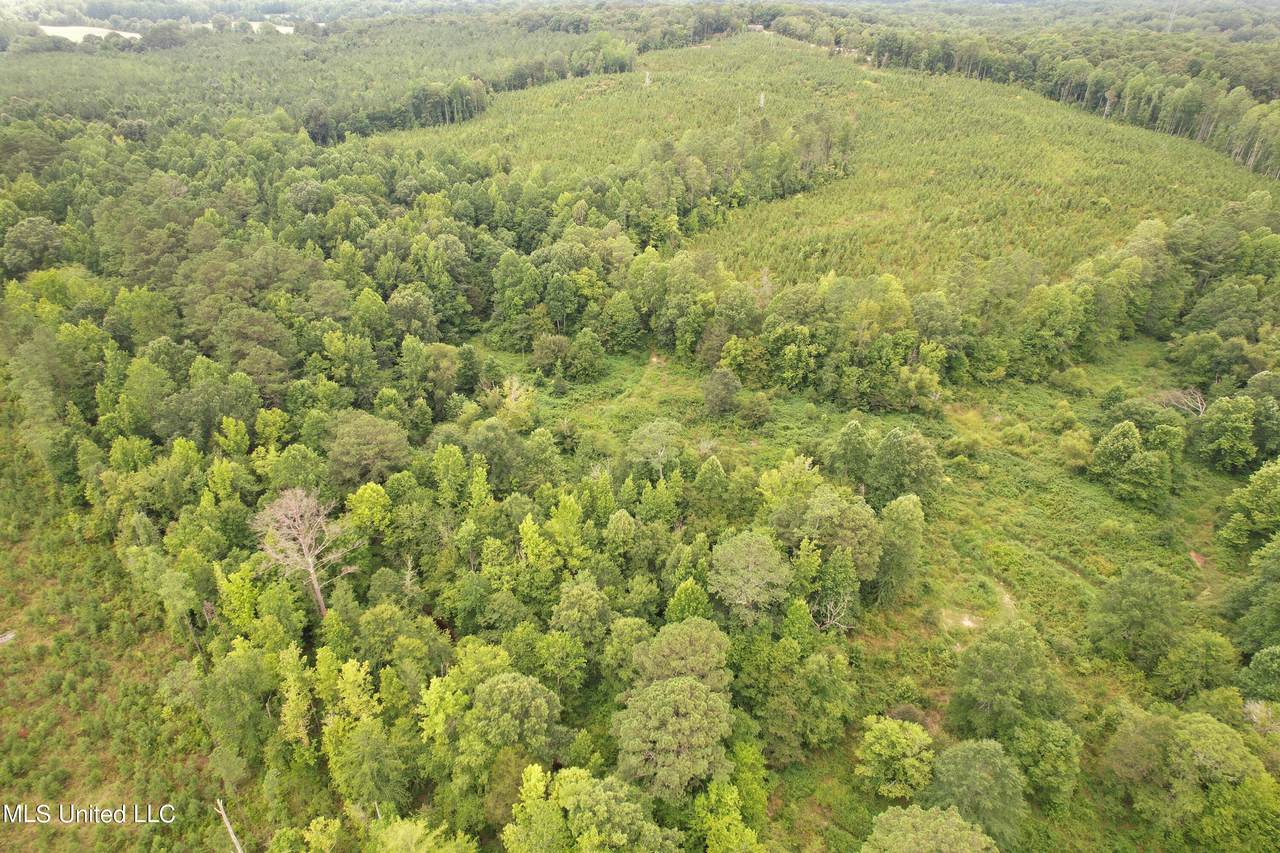  County Road 428 - Photo 1