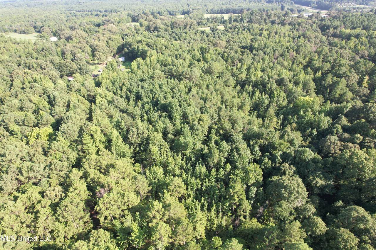  Hwy 32 - Photo 1