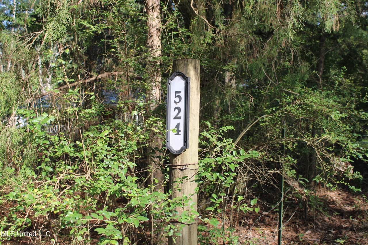524 Davis Crossing Road - Photo 1